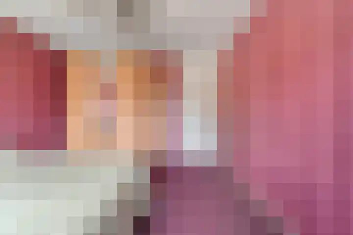 Boesemeer 5 Hardenberg thumbnail 38