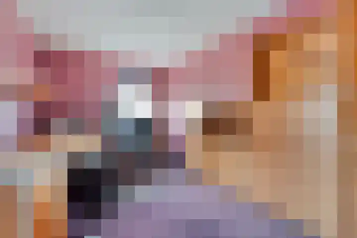 Boesemeer 5 Hardenberg thumbnail 39