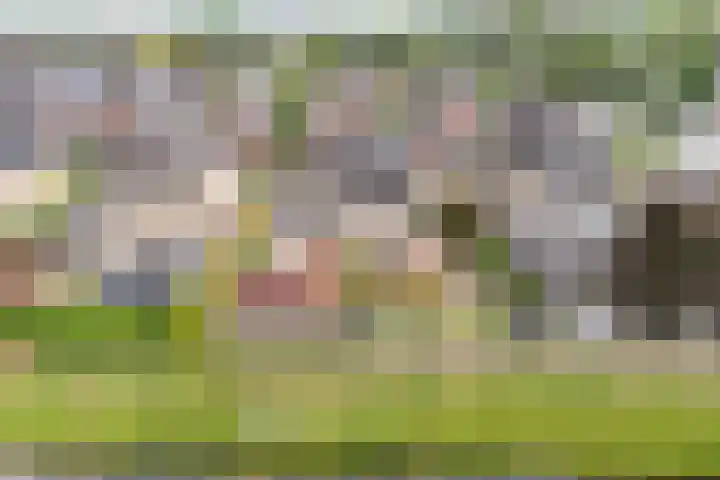 Boesemeer 5 Hardenberg thumbnail 4