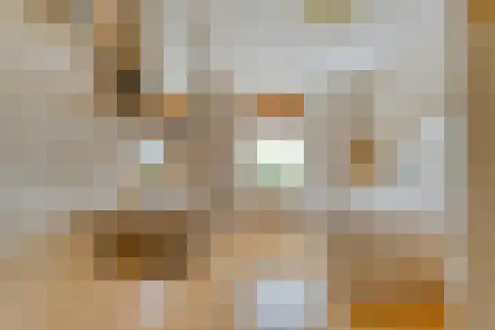 Boesemeer 5 Hardenberg thumbnail 41