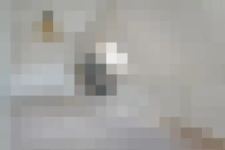 Boesemeer 5 Hardenberg thumbnail 46