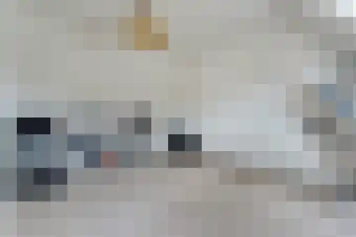 Boesemeer 5 Hardenberg thumbnail 47