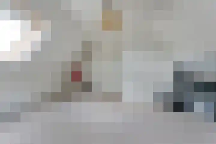 Boesemeer 5 Hardenberg thumbnail 48