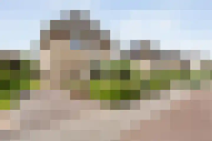 Boesemeer 5 Hardenberg thumbnail 5