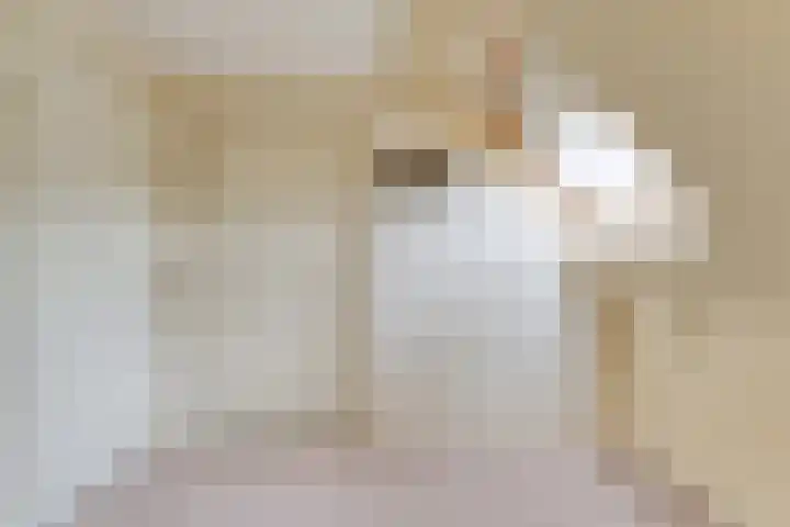 Boesemeer 5 Hardenberg thumbnail 50