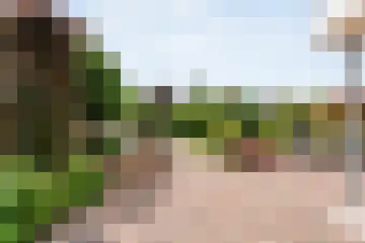 Boesemeer 5 Hardenberg thumbnail 51
