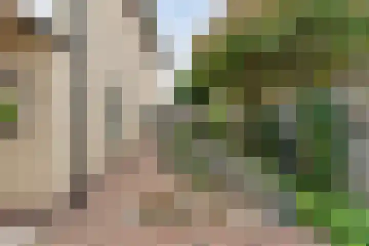 Boesemeer 5 Hardenberg thumbnail 52