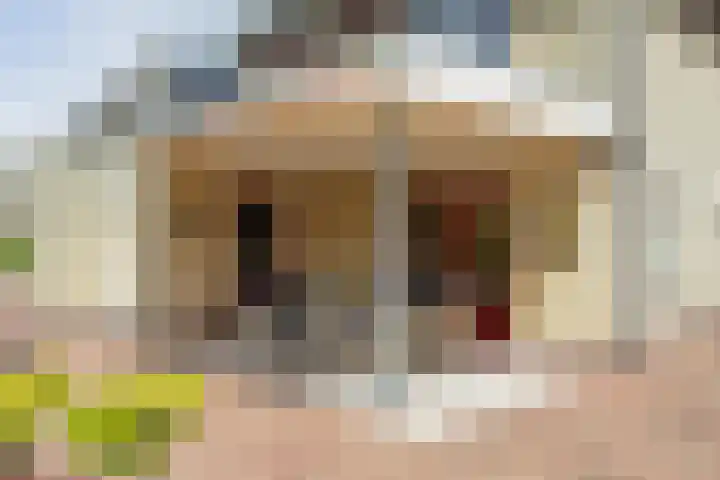 Boesemeer 5 Hardenberg thumbnail 53