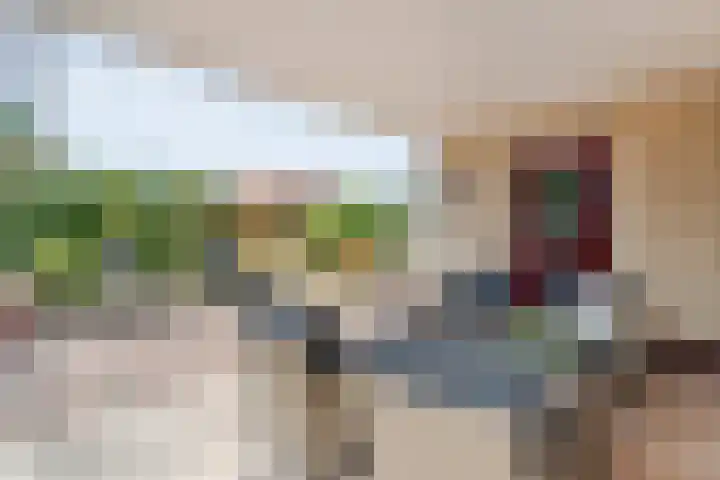 Boesemeer 5 Hardenberg thumbnail 54