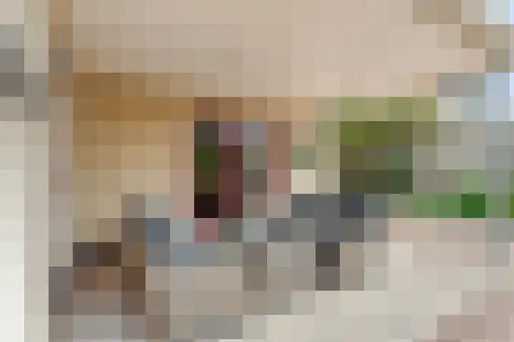 Boesemeer 5 Hardenberg thumbnail 55