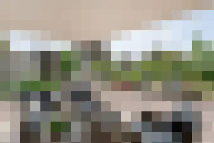 Boesemeer 5 Hardenberg thumbnail 56