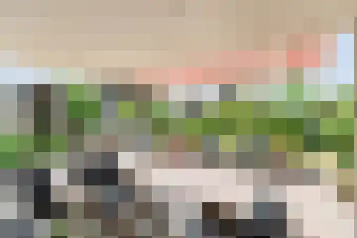 Boesemeer 5 Hardenberg thumbnail 57