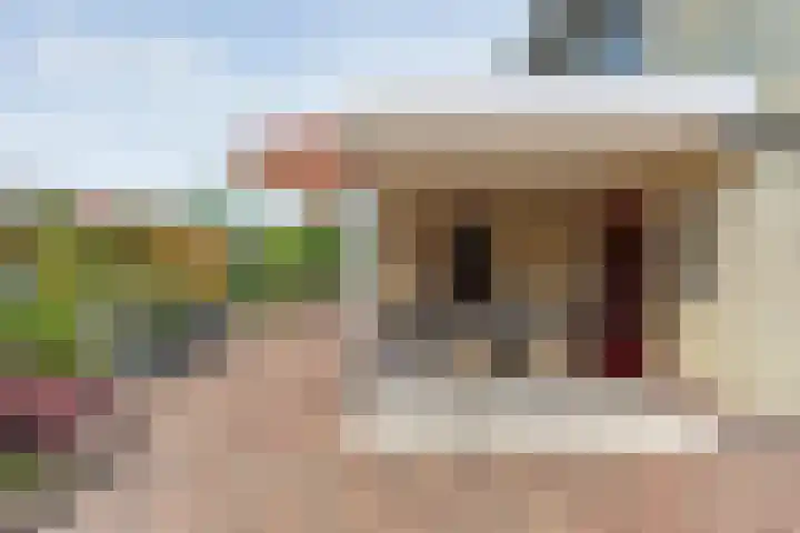 Boesemeer 5 Hardenberg thumbnail 58