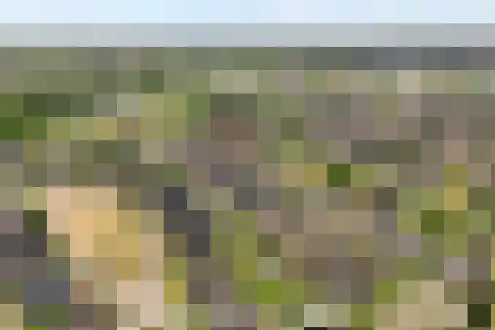 Boesemeer 5 Hardenberg thumbnail 6