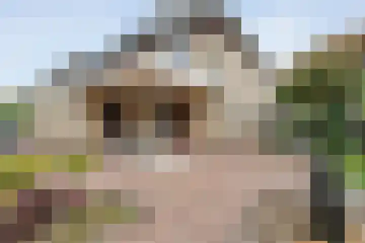 Boesemeer 5 Hardenberg thumbnail 60