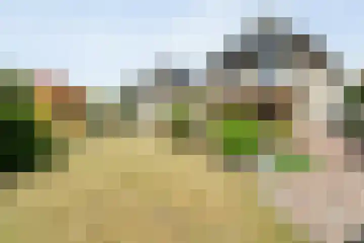 Boesemeer 5 Hardenberg thumbnail 61