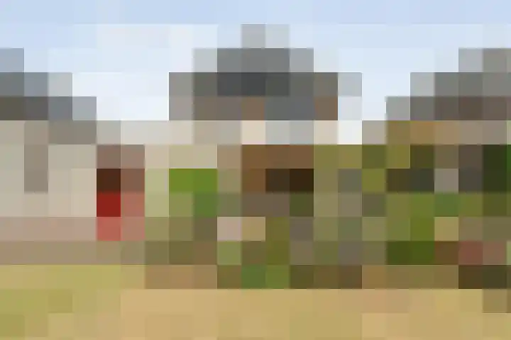 Boesemeer 5 Hardenberg thumbnail 62