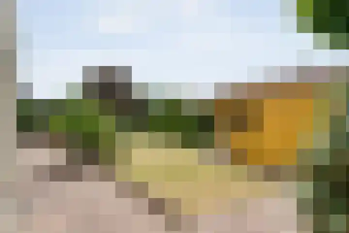 Boesemeer 5 Hardenberg thumbnail 63