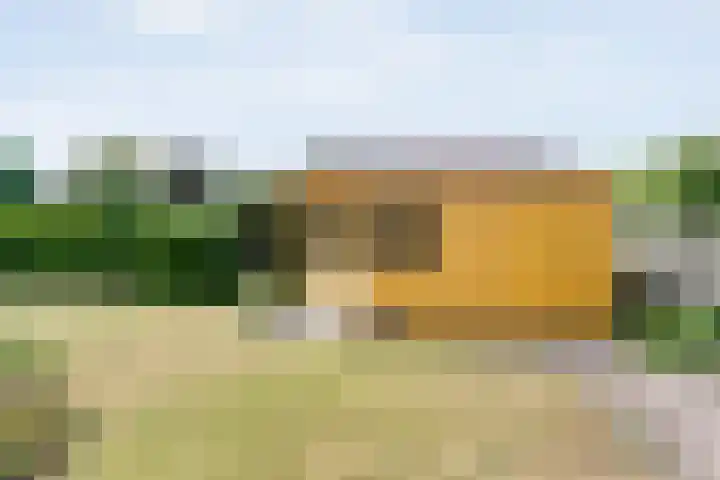 Boesemeer 5 Hardenberg thumbnail 64