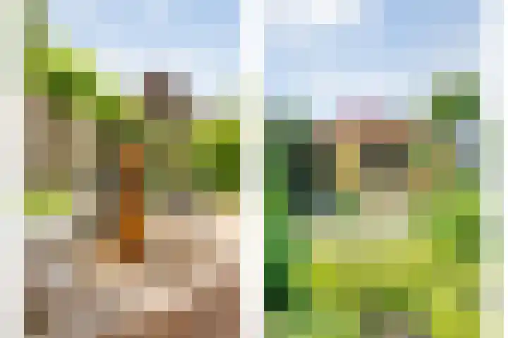 Boesemeer 5 Hardenberg thumbnail 65