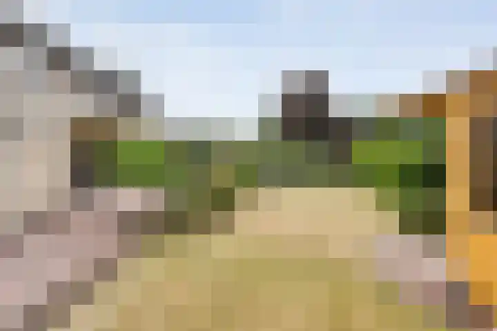 Boesemeer 5 Hardenberg thumbnail 66