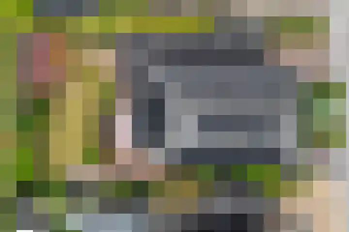 Boesemeer 5 Hardenberg thumbnail 67