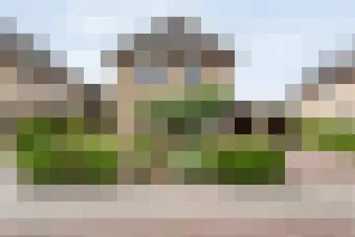 Boesemeer 5 Hardenberg thumbnail 7