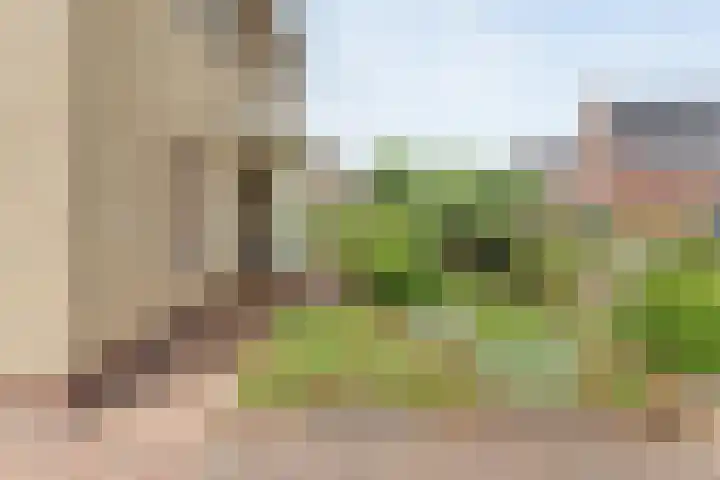 Boesemeer 5 Hardenberg thumbnail 8