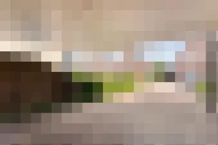 Boesemeer 5 Hardenberg thumbnail 9