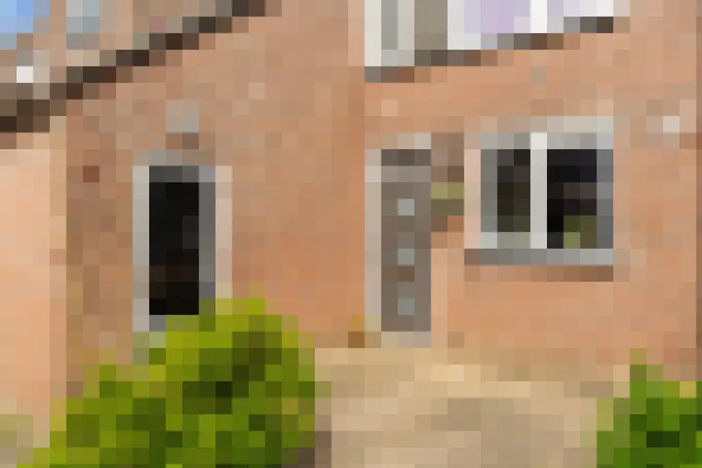 Boesemsingel 46 Bodegraven thumbnail 10
