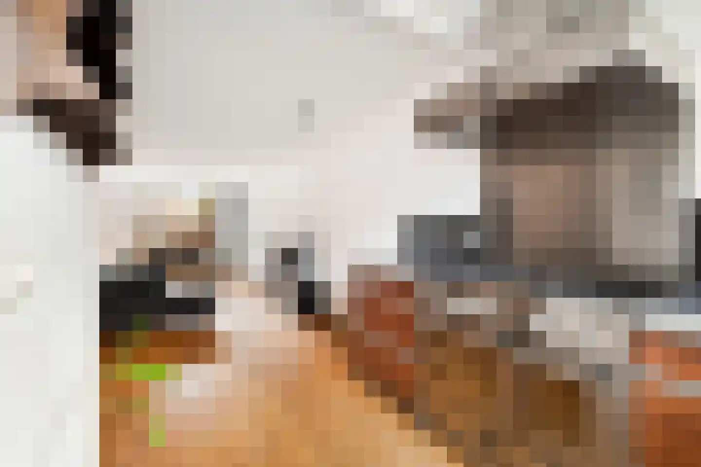 Boesemsingel 46 Bodegraven thumbnail 26