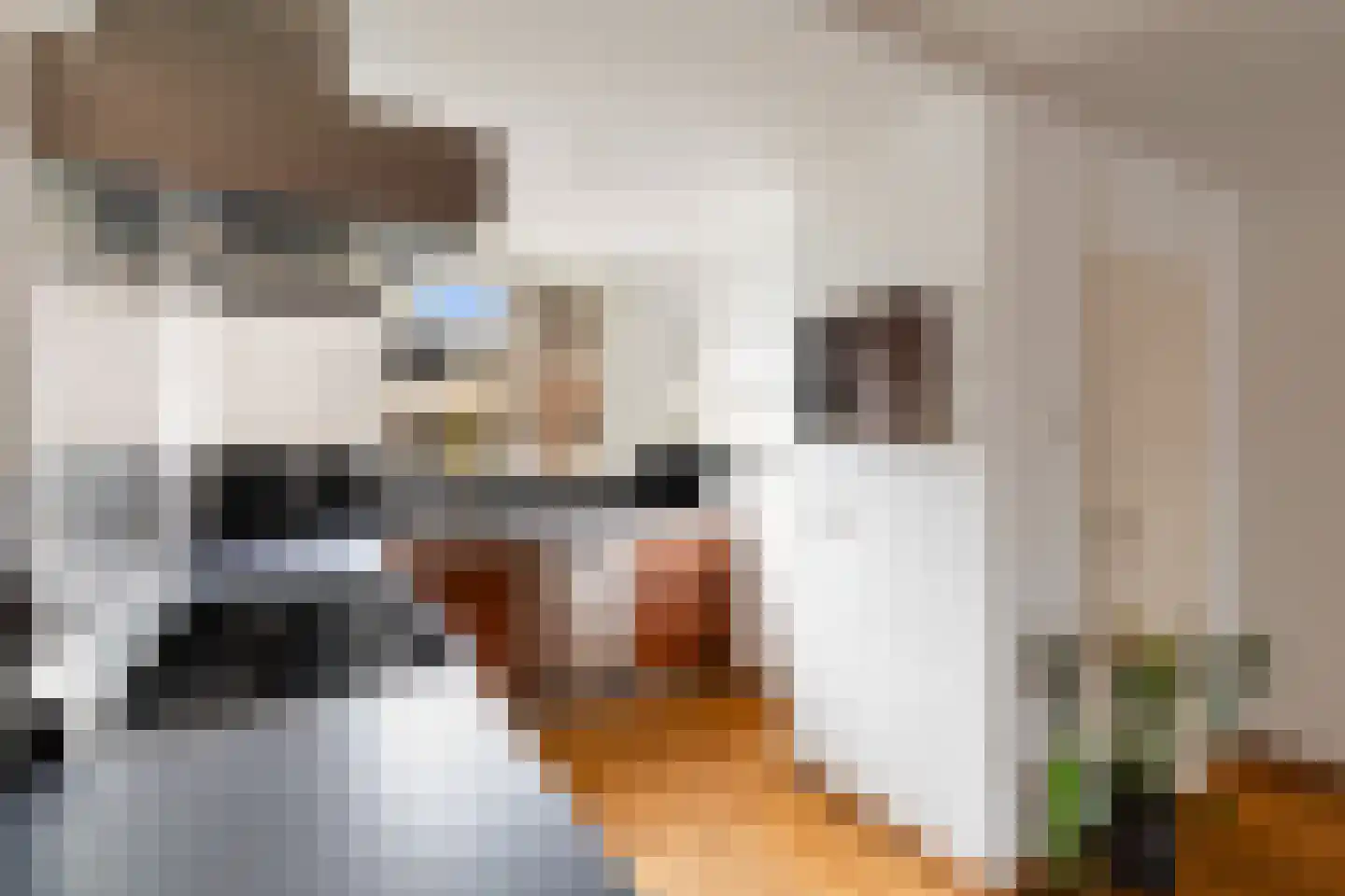 Boesemsingel 46 Bodegraven thumbnail 28