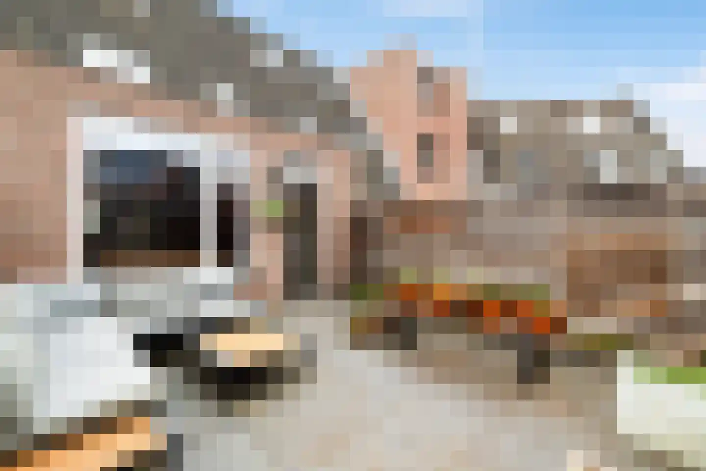 Boesemsingel 46 Bodegraven thumbnail 32