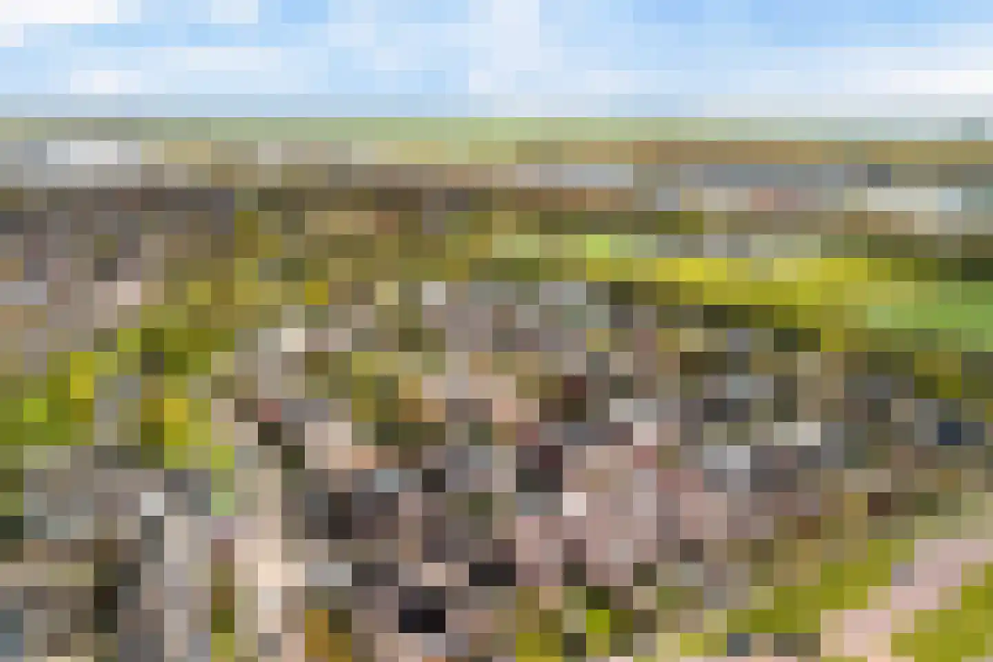 Boesemsingel 46 Bodegraven thumbnail 4