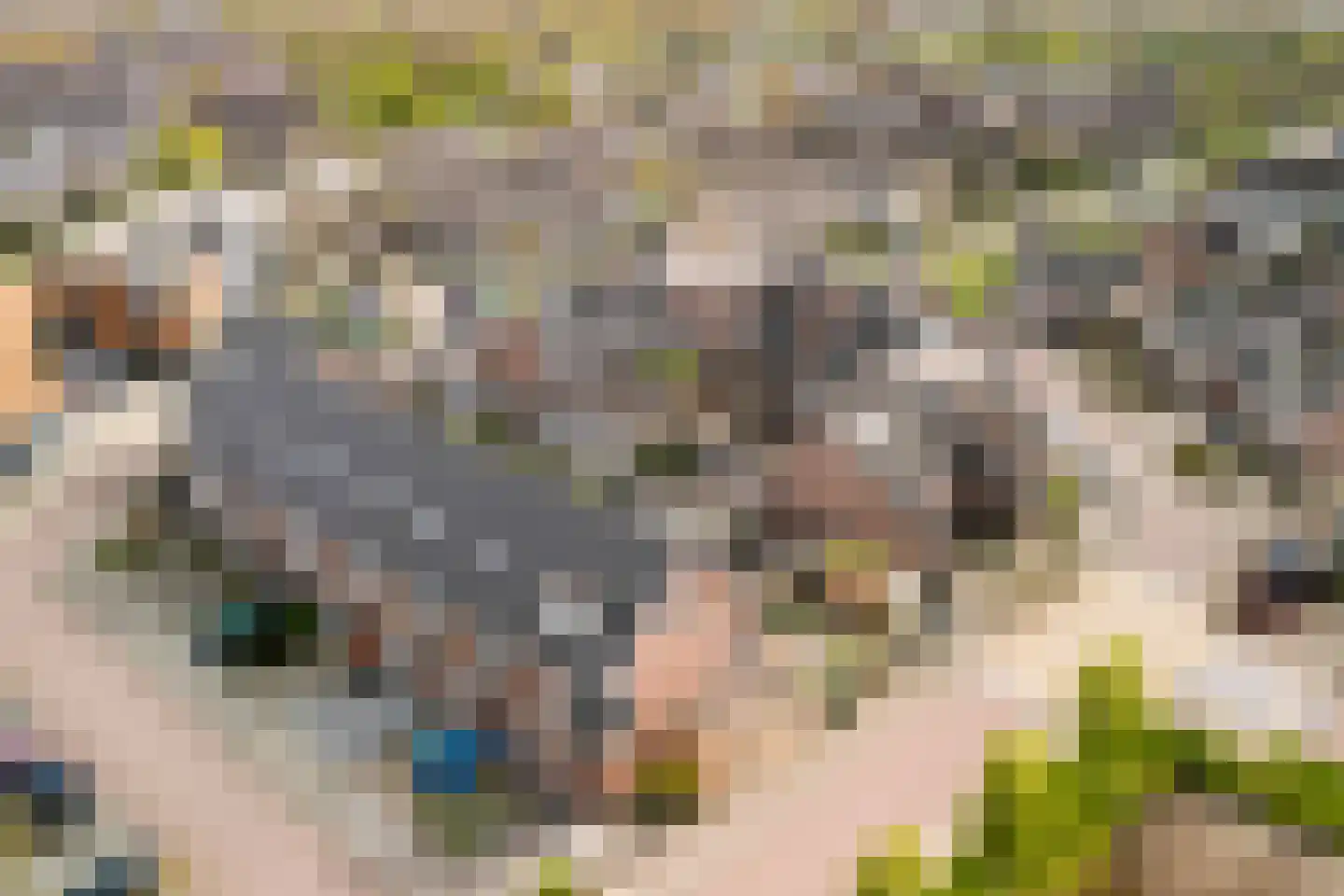 Boesemsingel 46 Bodegraven thumbnail 48
