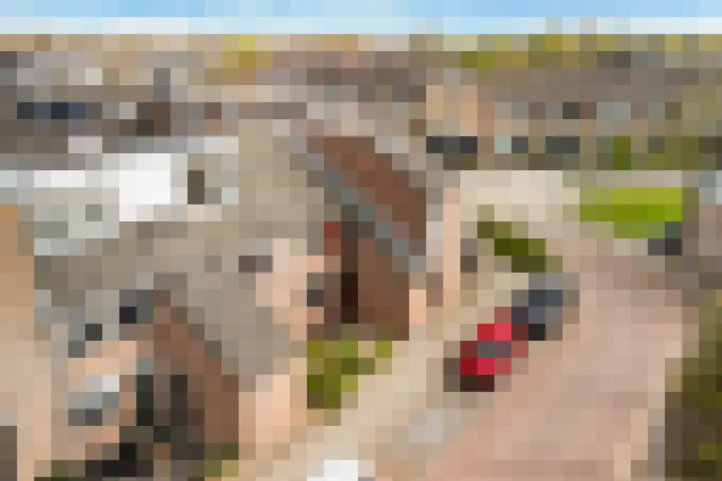 Boesemsingel 46 Bodegraven thumbnail 7