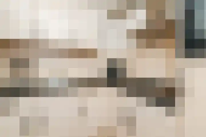 Boesemsingel 52 Bodegraven thumbnail 10