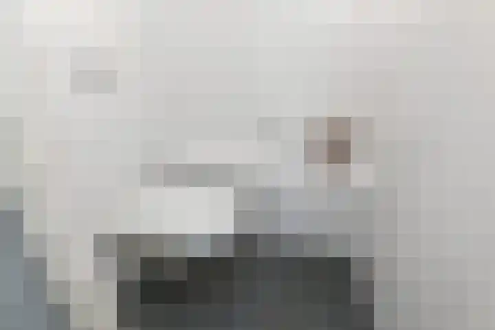 Boesemsingel 52 Bodegraven thumbnail 13