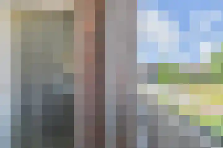 Boesemsingel 52 Bodegraven thumbnail 15