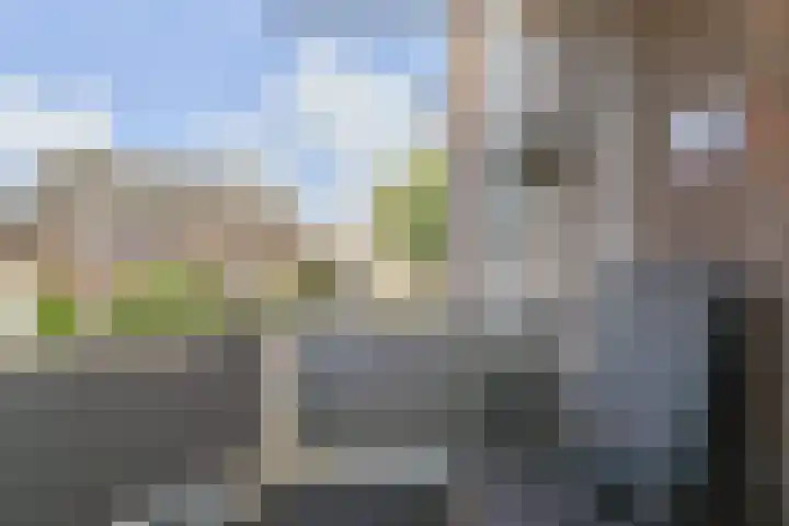 Boesemsingel 52 Bodegraven thumbnail 16