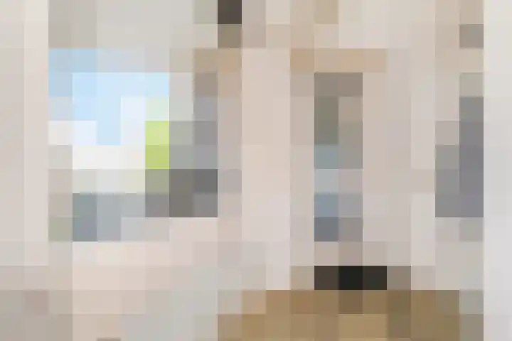 Boesemsingel 52 Bodegraven thumbnail 6