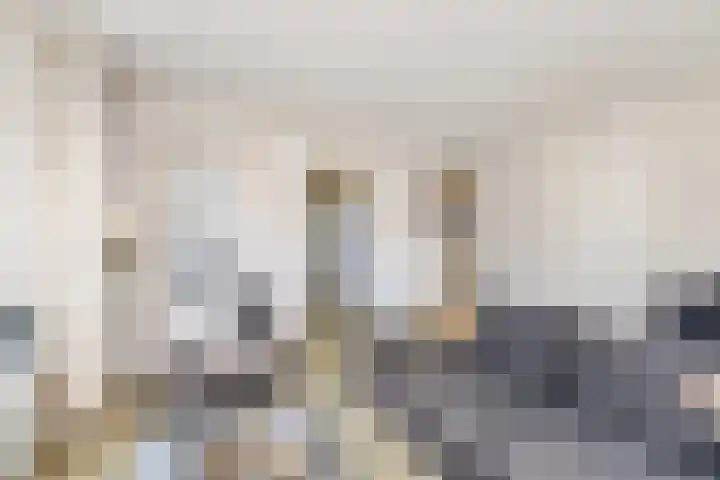 Boesemsingel 52 Bodegraven thumbnail 8