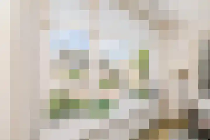 Boesemsingel 52 Bodegraven thumbnail 9