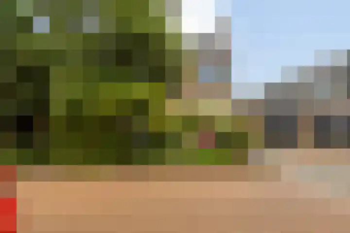 Boesemsingel 55 Bodegraven