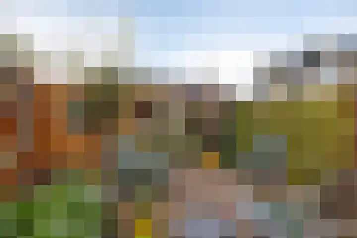 Boesemsingel 55 Bodegraven thumbnail 16