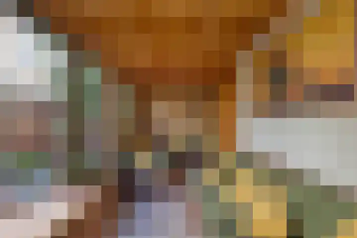Boesemsingel 55 Bodegraven thumbnail 18