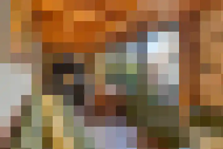 Boesemsingel 55 Bodegraven thumbnail 19