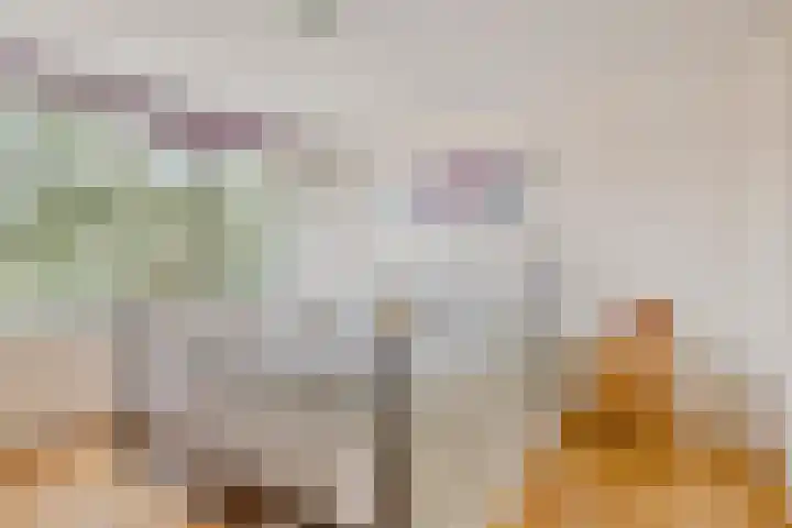 Boesemsingel 55 Bodegraven thumbnail 25