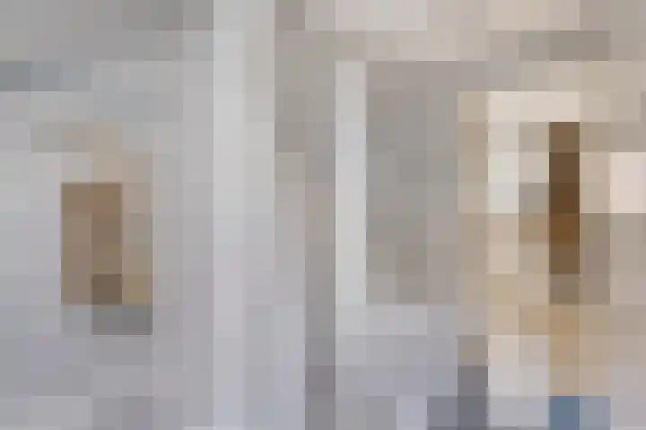 Boesemsingel 55 Bodegraven thumbnail 37