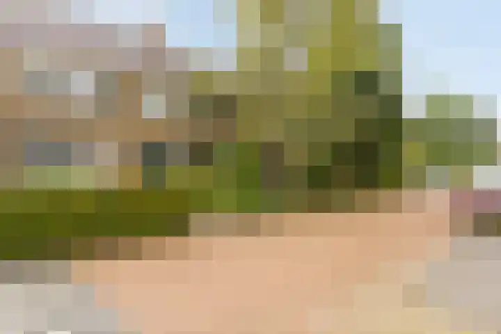 Boesemsingel 55 Bodegraven thumbnail 38